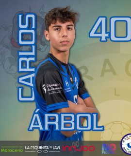 Carlos Árbol
